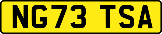 NG73TSA