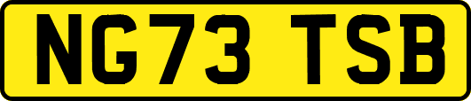 NG73TSB