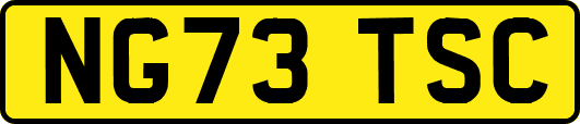 NG73TSC