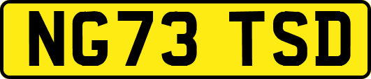 NG73TSD