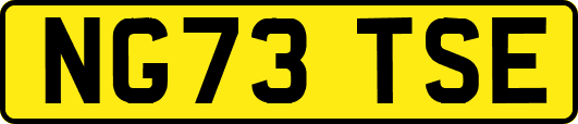 NG73TSE