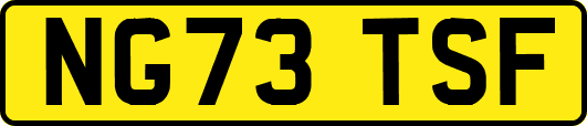 NG73TSF