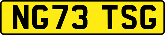 NG73TSG