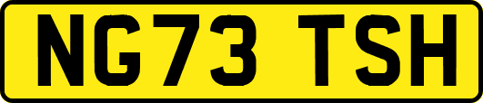 NG73TSH