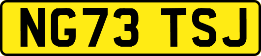 NG73TSJ