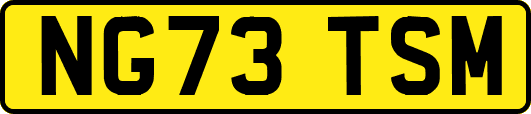 NG73TSM