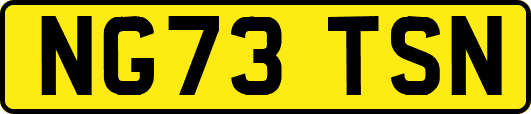 NG73TSN