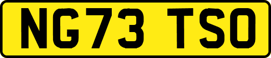 NG73TSO