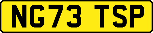 NG73TSP