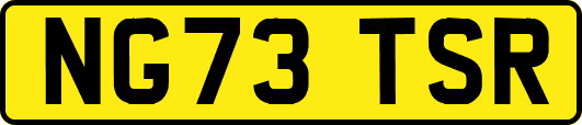 NG73TSR
