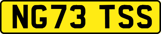 NG73TSS