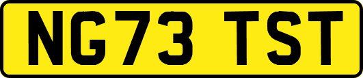 NG73TST