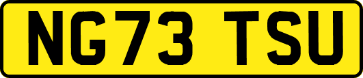 NG73TSU