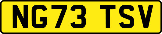 NG73TSV