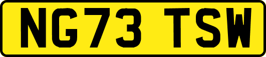 NG73TSW