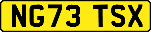 NG73TSX