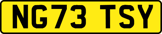 NG73TSY
