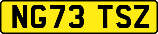 NG73TSZ