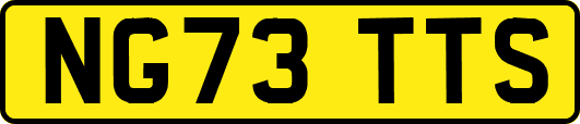 NG73TTS
