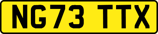 NG73TTX
