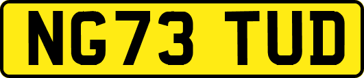 NG73TUD