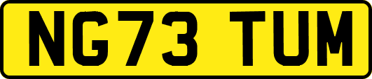 NG73TUM