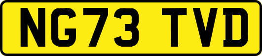 NG73TVD