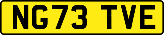 NG73TVE
