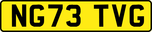 NG73TVG
