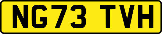 NG73TVH