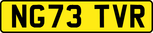 NG73TVR