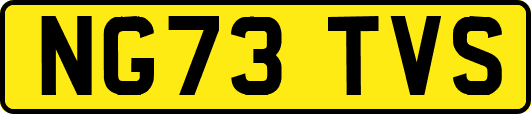 NG73TVS