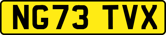 NG73TVX