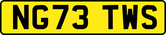 NG73TWS
