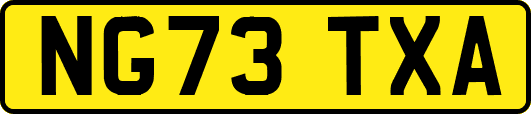 NG73TXA