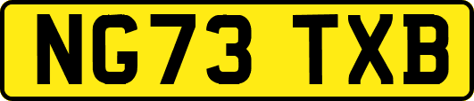 NG73TXB