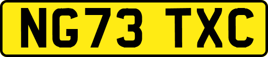 NG73TXC
