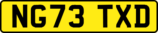 NG73TXD