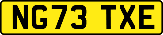 NG73TXE