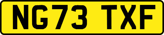 NG73TXF