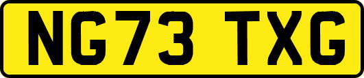 NG73TXG