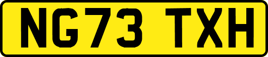 NG73TXH