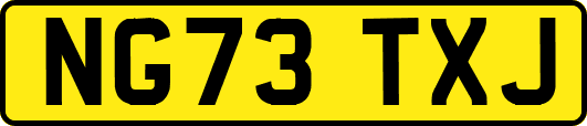 NG73TXJ