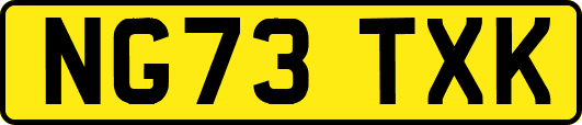 NG73TXK