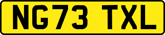 NG73TXL