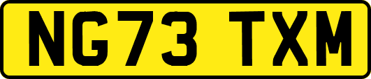 NG73TXM