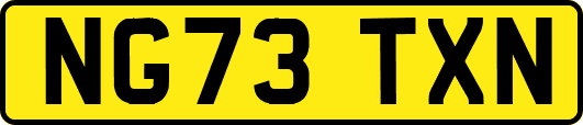NG73TXN