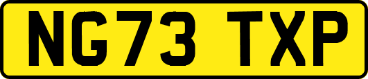 NG73TXP