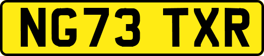 NG73TXR