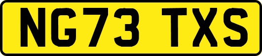 NG73TXS